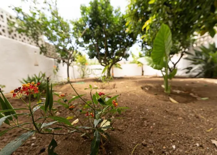 Finca Artiles