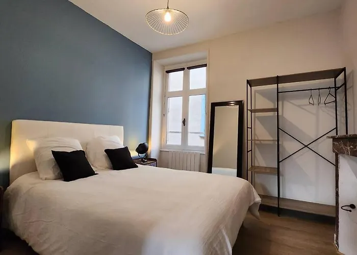 Les Appartements De Louis Spacieux-Centre Ville-Mairie