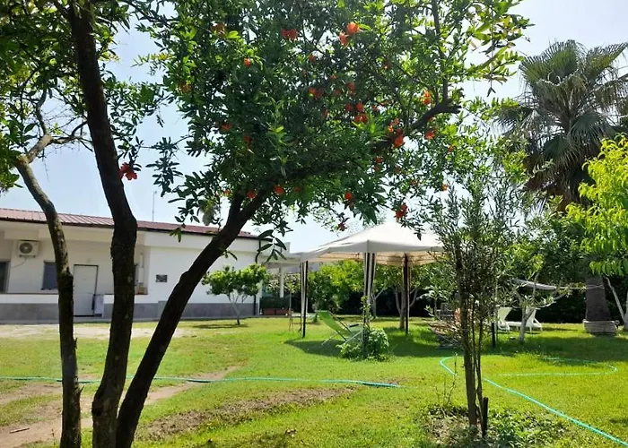Aragon Cottage Apartments