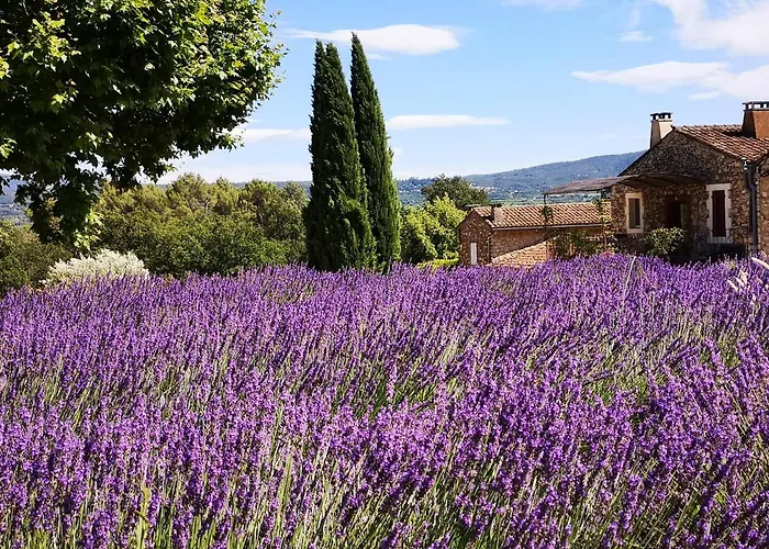 Les Vendangeurs, Gite Au Milieu Des Vignes Face Au Luberon
