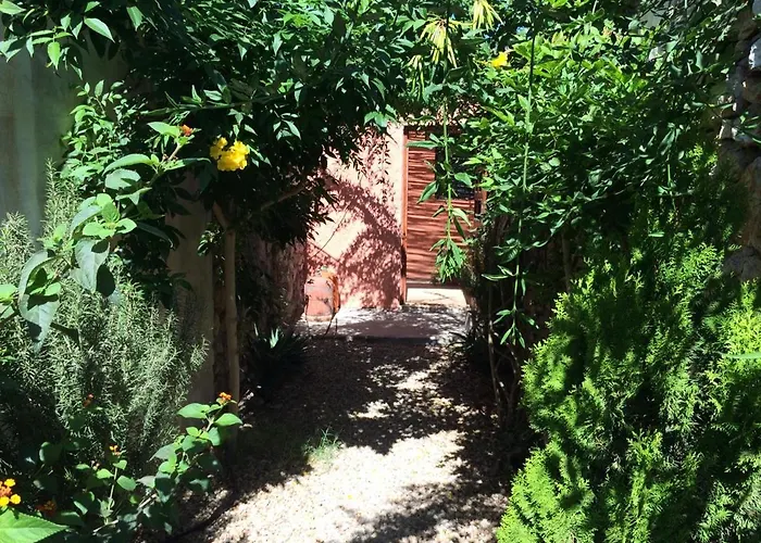 Chez Ali