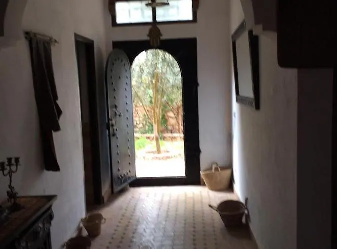 Chez Ali