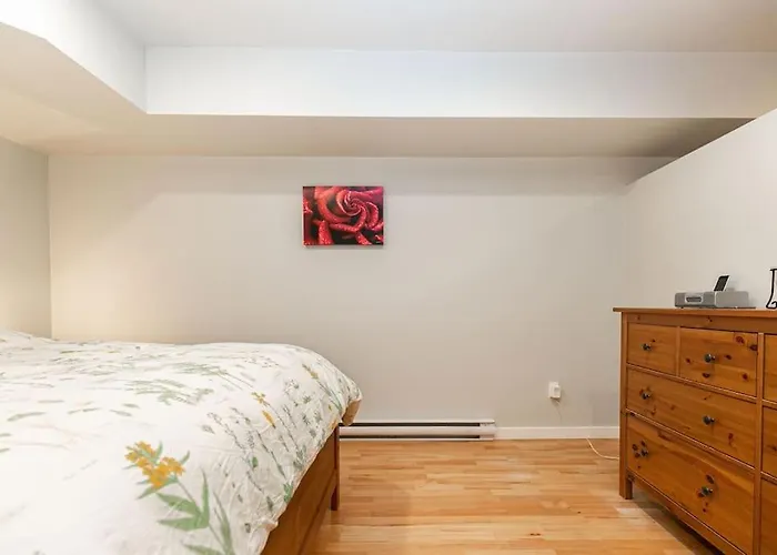 Lovely 1 Bedroom Suite Near Town