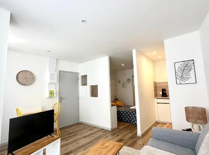 Bel Appartement En Plein Centre Ville