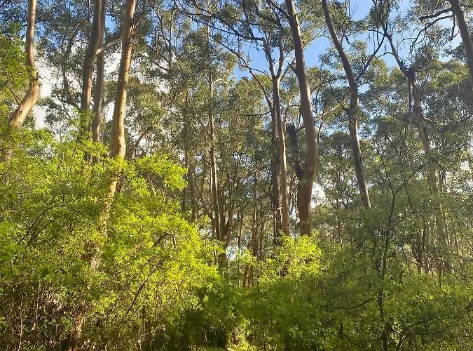 Karri Tree Studio Apartment