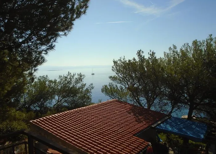 Pineta