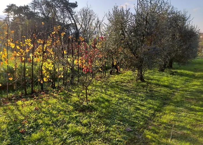 Casa La Fonte