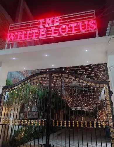 The White Lotus