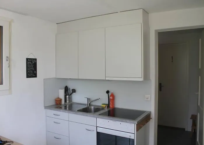 Lake Thun Apartment For Max 3 Guests Ideal For Water Sports & Swiss Alps