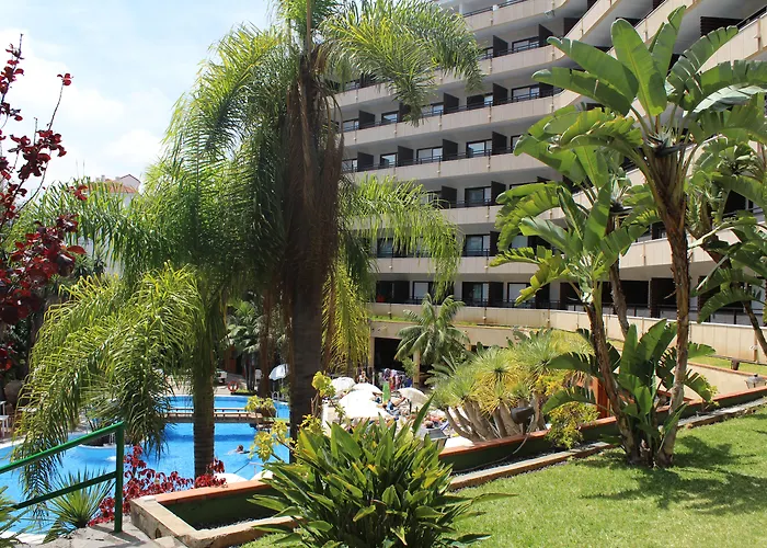 Fergus Puerto De La Cruz