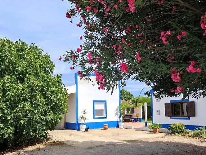 Monte Da Figueira