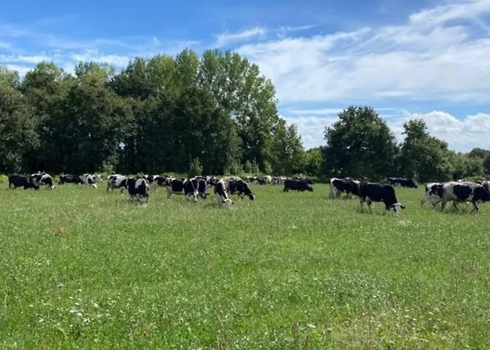 Gite A La Ferme De La Corbinais