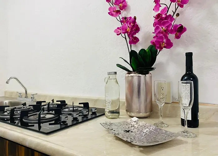 Departamento Centrico - Bufa House