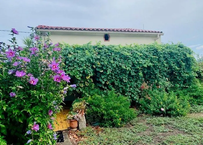 Maison F3 A Ceret Avec Jardin, Terrasses Et Climatisation, Proche Centre-Ville