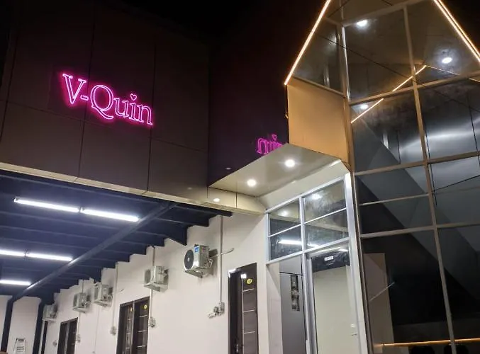 V Quin