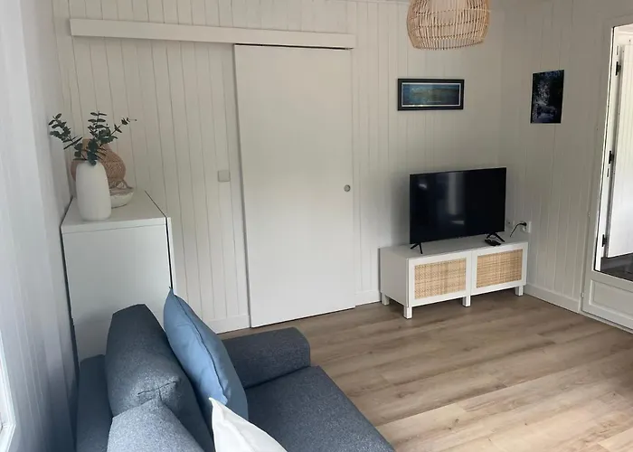 Biscarrosse Lac - Maguide -Modern Chalet