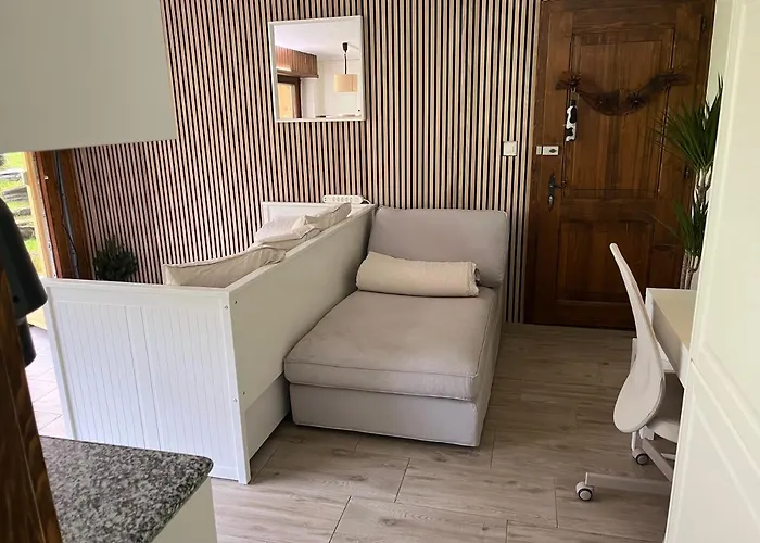 Magnifique Studio Ski In-Ski Out - Pas De Parking Hiver