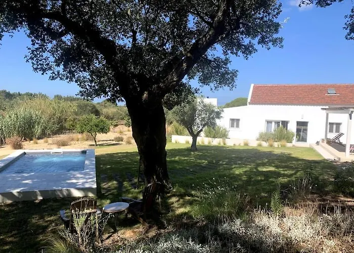 Property Between Melides And Aberta Nova Beach