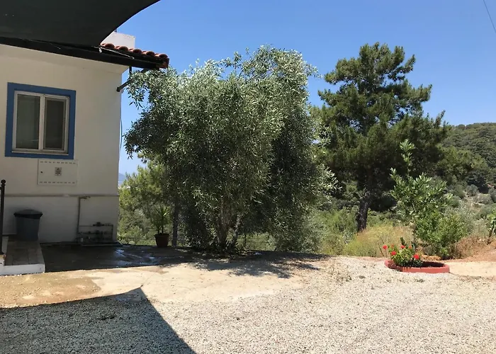 Tyana Home-1