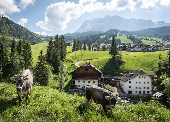 Lüch da Murin
