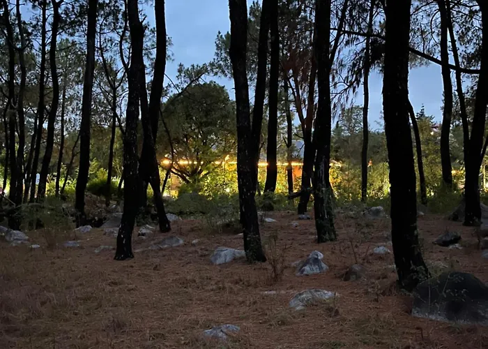 Prakriti Aalay - Riverside Mountain View Boutique Eco Resort