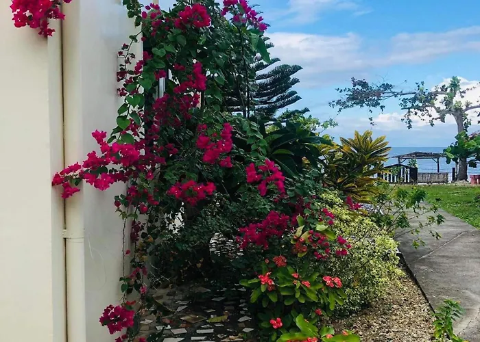 D'S Oceanview Beach Resort