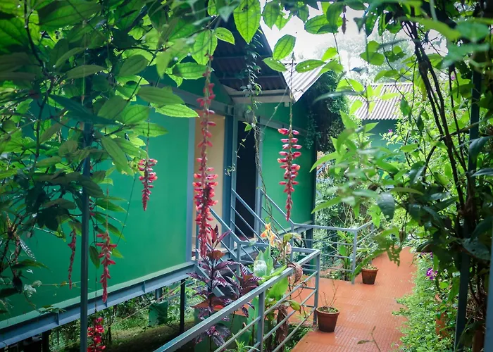 Edens Munnar