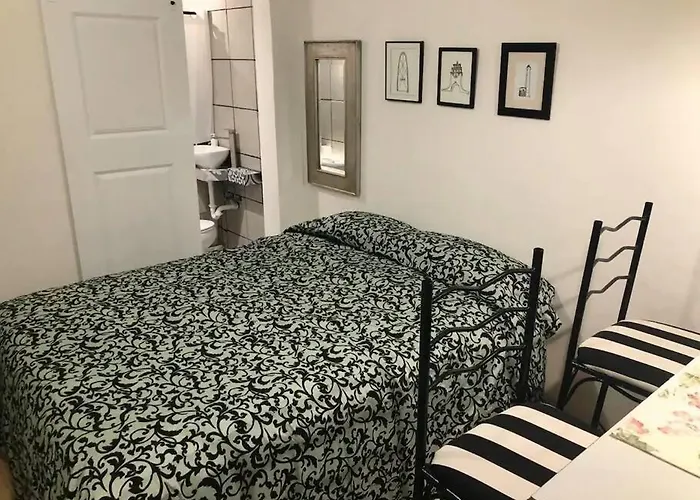 Zebra Studio