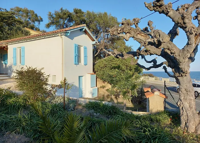 Maison Indivi 4-6 Pers Face A La Mer Grand Jardin Ideal Famille Avec Animaux Saint Clair Le Lavandou