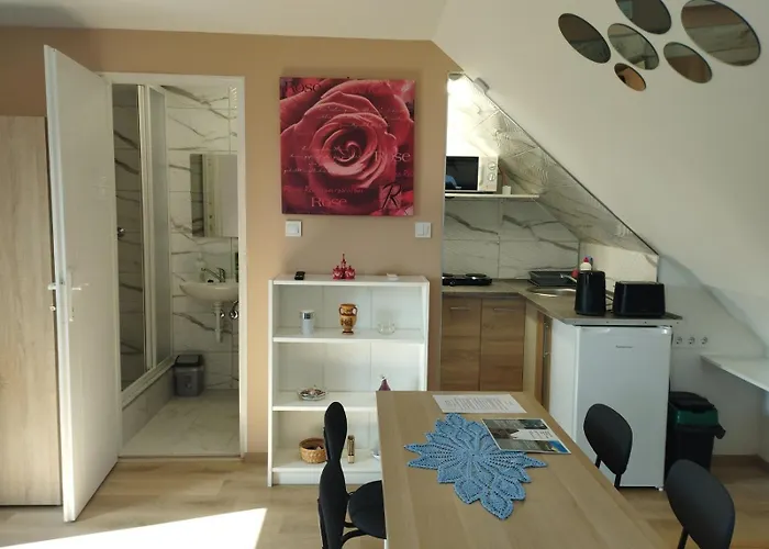 Viola Apartmanok Bogacs