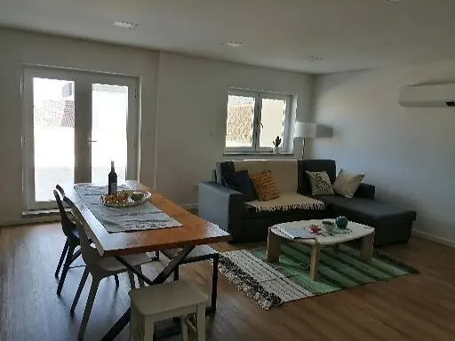 Zelu Apartamento Centro Da Guarda