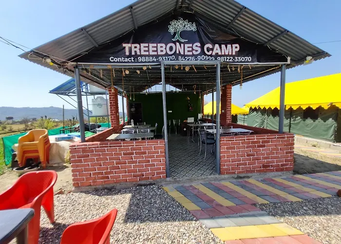 Tree Bones Camp