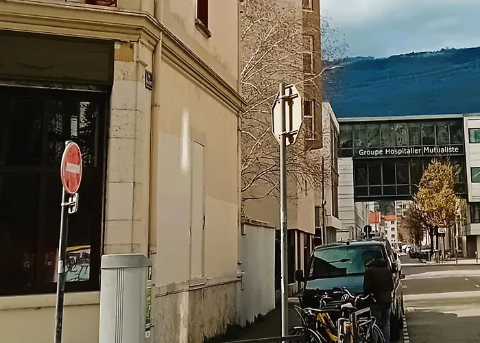 102 - Appart Renove Avec Grand Salon Et 1 Chambre - Tram Et Clinique Mutualiste A 1 Min