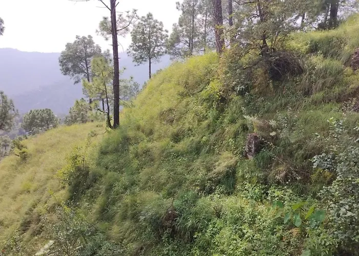 Goroomgo Homestay Sukh Dham Shimla - Homestay Like Home Feeling Mountain View