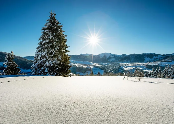 Allgaeu Luxury Apartment Bergloewe Mit Sauna