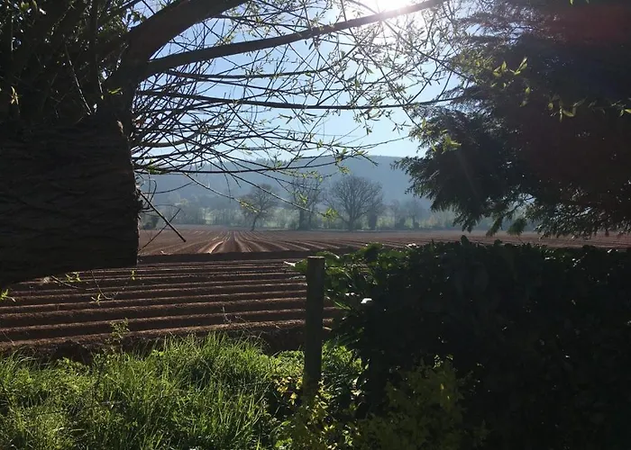 Dee'S Cottage At Brinsop