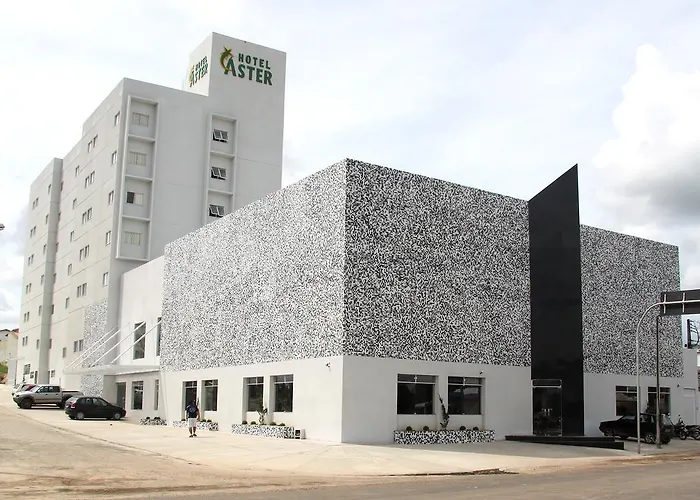 Hotel Aster
