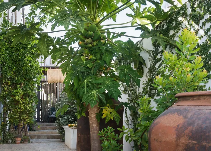Altanure Almatere - Food Forest Boutique Stay