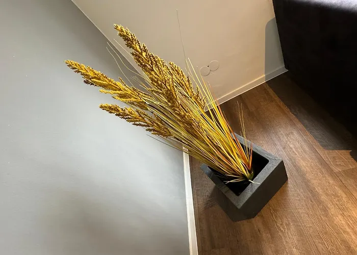 Fewo Boho Mit Eigenem Garten Naehe Salzburg