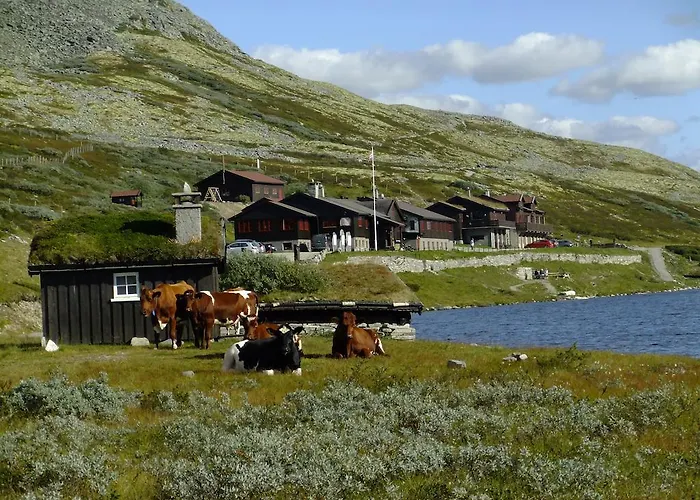 Smuksjoseter Fjellstue, Rondane Mountainlodge