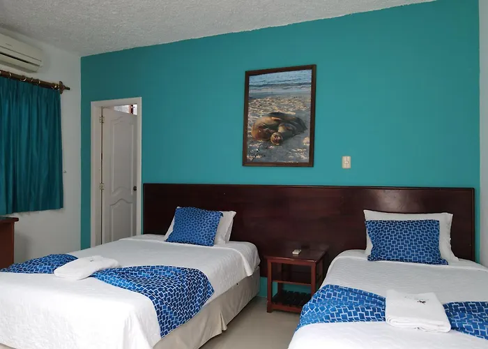 Hotel La Gran Tortuga - ᯤ Starlink