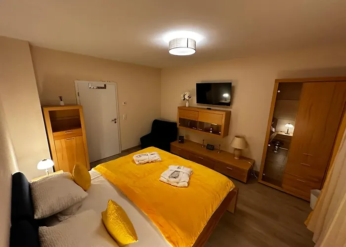 Cats Home And Apartment