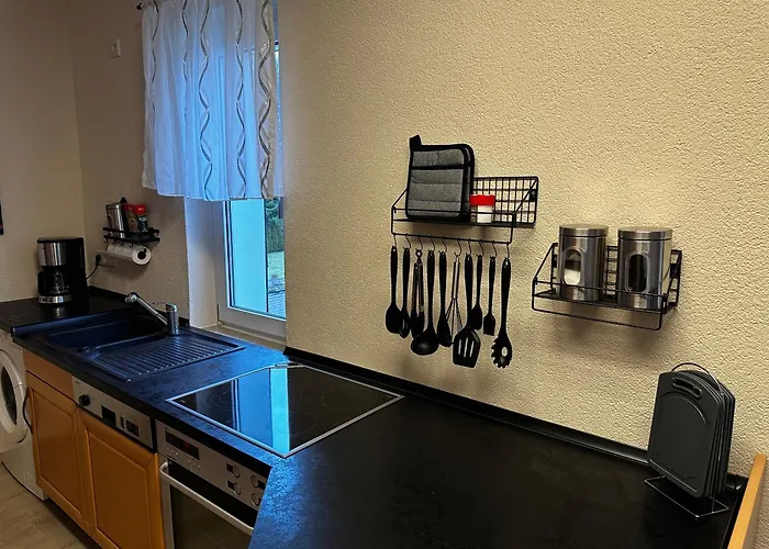 Cats Home And Apartment