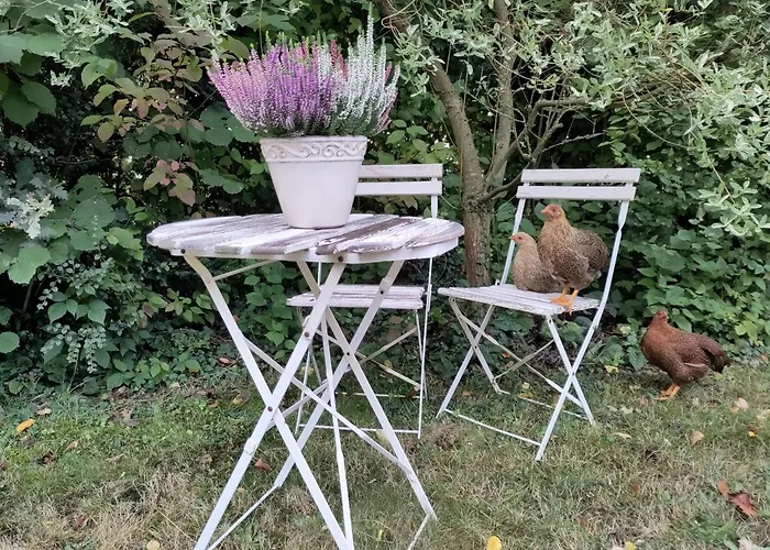 Ruhige Ferienwohnung „Suedhang“ Direkt Am Wald