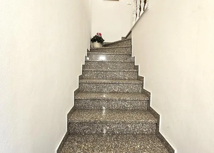 Matteo'S Apartments Cecina Mare