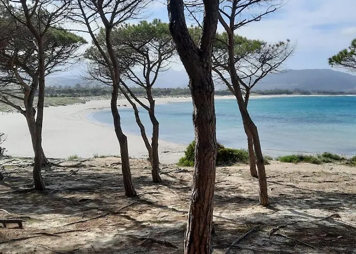 Appartamento La Vista