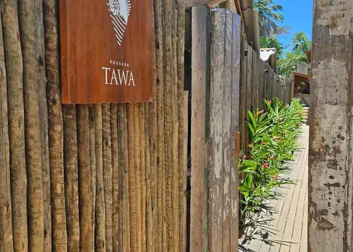 Tawa Caraiva