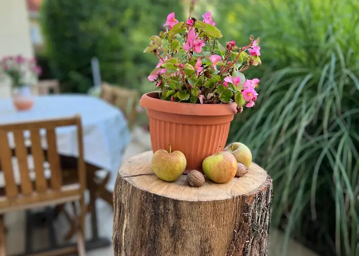 Villa Relax Apartman