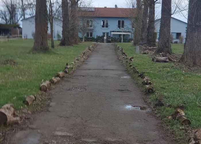 Grosse 3 Zi Wohnung Auf Der Pferde Farm