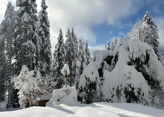 Das Haus Im Wald